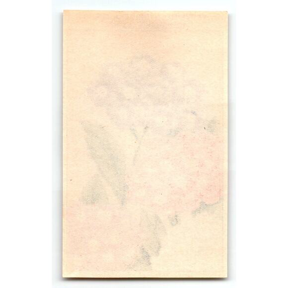 1920's Flower Art Print VERVEINE Lithograph Original Vintage For Seed Pack - Picture 2 of 2